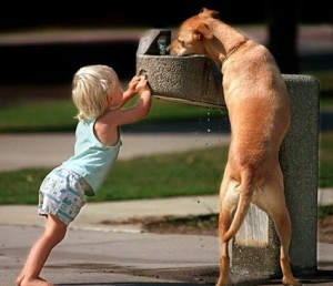 Onrecht papier Resoneer Hond en kind | Opvoeding en gedrag | Honden & Hondenrassen