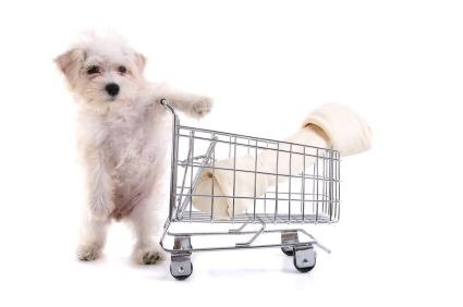 Onderscheiden surfen Er is een trend Samen met de hond naar de dierenwinkel | Opvoeding en gedrag | Honden &  Hondenrassen