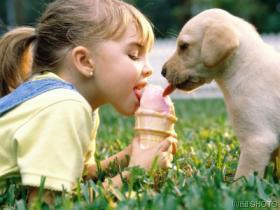 Kindvriendelijke Algemene informatie Honden & Hondenrassen